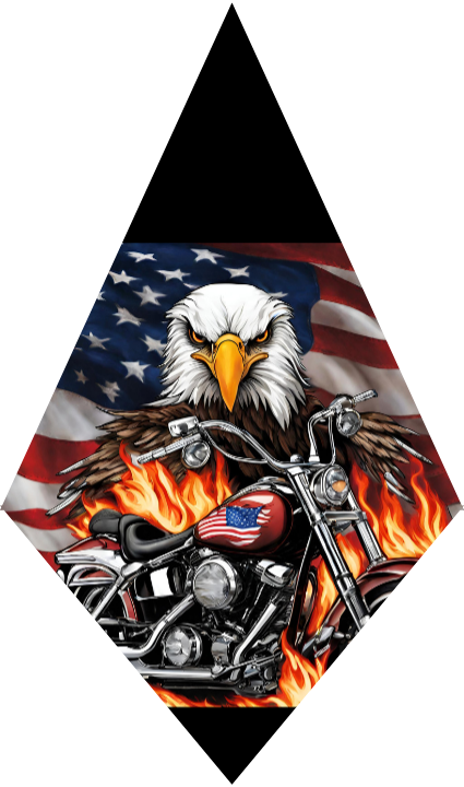Bald eagle with American flag and motorcycle on a diamond-shaped background