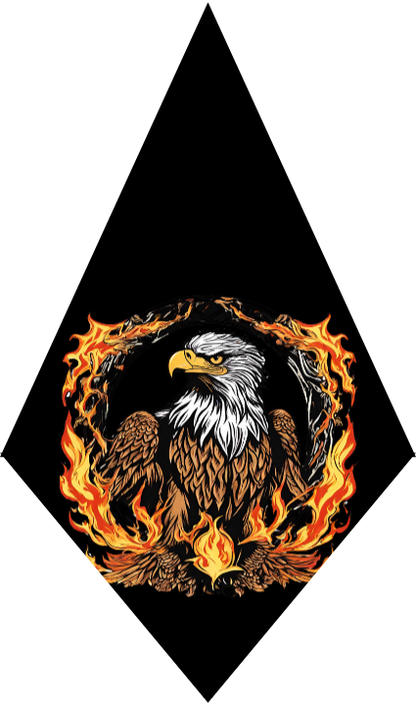 Eagle surrounded by flames on a black background