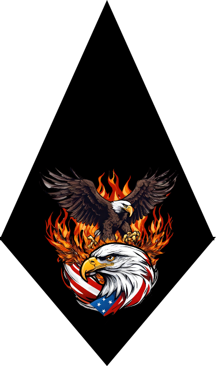 Eagle with American flag design on flames against a black background
