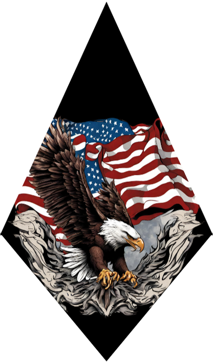 Eagle and American flag design with a black border